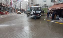 Trabzon'un ilçelerinde temizlik yapıldı