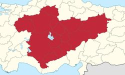 Yaz geldi, kene tehlikesi kapıda: Uzmanından Çorum, Çankırı, Sivas, Kastamonu, Yozgat, ve Tokat'a uyarı