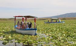 Denizli'nin Nilüferlerle kaplı Işıklı Gölü: Tekne Turları Başladı