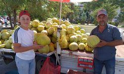 Her dilimi ayrı lezzetli: Çorum'un meşhur '10 Dilim' kavunları pazardaki yerini aldı