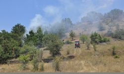 Amasya'da çıkan yangında 15 dönüm buğday ekili arazi zarar gördü