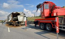 Anadolu Otoyolu'nda büyükbaş hayvan yüklü tırın karıştığı kaza nedeniyle ulaşım aksadı