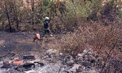 Bolu'da otoyolun kenarındaki otluk alanda çıkan yangın söndürüldü