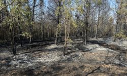 GÜNCELLEME 2- Kastamonu'da ormanlık alanda çıkan yangın kontrol altına alındı