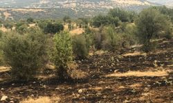Kıbrıscık'ta çıkan örtü yangını söndürüldü