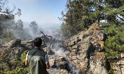 Kıbrıscık'ta ormanlık alanda çıkan yangın söndürüldü