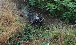 Samsun'da alev alan piknik tüpü söndürüldü