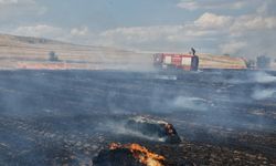 Alaca'da felaket: 500 saman balyası ve Nohut tarlaları yandı