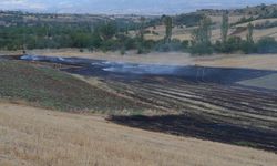 Dodurga'da anız yangını: 30 dekar alan ve saman balyaları kül oldu