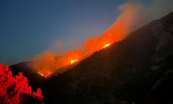 Çorum'daki orman yangının bilançosu ortaya çıktı: 30 hektarlık alan zarar gördü