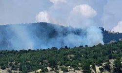 Alevler her yeri sardı! Osmancık'ta çıkan orman yangını kontrol altına alındı