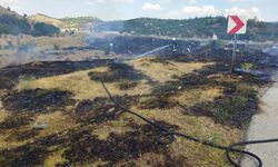 Osmancık'ta örtü yangını: Çamlık alanı son anda kurtarıldı