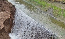 Tokat'ta sulama kanalındaki çöküntü nedeniyle akan su ekili arazide zarara yol açtı