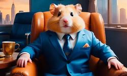 Hamster Kombat 15 Ağustos şifresi nedir? Hamster Kombat kombo kartları nedir, nasıl alınır?