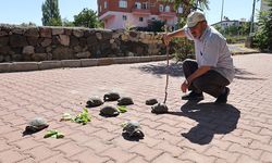 Nevşehir'in Osman Hamdi Bey'i fırın ustası Metin Vural