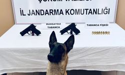 Çorum'da bomba arama köpeği Arşiv’in hassas burnu sayesinde silahlar ele geçirildi