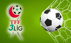 3. Lig 2. Grup 2. hafta sonuçları ve puan durumu