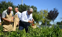 Başkan Büyükkılıç, organik ürünleri elleriyle topladı, yemek pişirdi