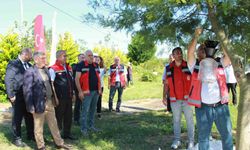 Kahverengi kokarca ile mücadele: Fındık bahçeleri kışlak öncesi ilaçlandı