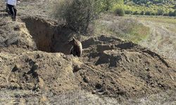 Kastamonu’da definecilerin kazdığı çukura düşen yavru ayı kurtarıldı