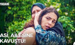 Yabani dizisi 37. bölüm full izle! Yabani 37. bölüm reklamsız ve donmadan izle