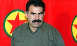 Bebek katili Abdullah Öcalan'a af mı çıkacak? Umut Hakkı'ndan kimler faydalanabilir?