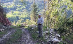 Artvin'de Kutlu köyü bağlığı ve civarındaki kazılar devam ediyor