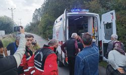 Bartın'da mantar toplarken düşerek ayağı kırılan kadın, ekiplerce kurtarıldı