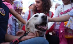 Düzce’de Hayvanları Koruma Günü'nde sahiplendirme ve farkındalık etkinliği düzenlendi