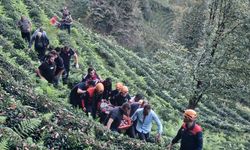 Rize'de yamaçtan yuvarlanan otomobilin sürücüsü öldü, eşi yaralandı