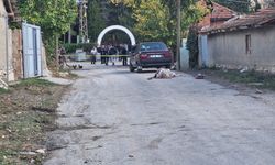 Arazi anlaşmazlığı cinayetle sonuçlandı! Köy muhtarı öldürüldü, kardeşi ağır yaralı!