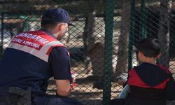 Çorum Jandarma Komutanlığı'ndan örnek davranış: Sokak hayvanları için sevgi dolu bir gün!