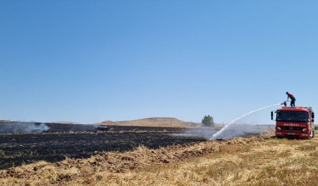 Amasya'da anız yangınında 5 dönüm alan zarar gördü