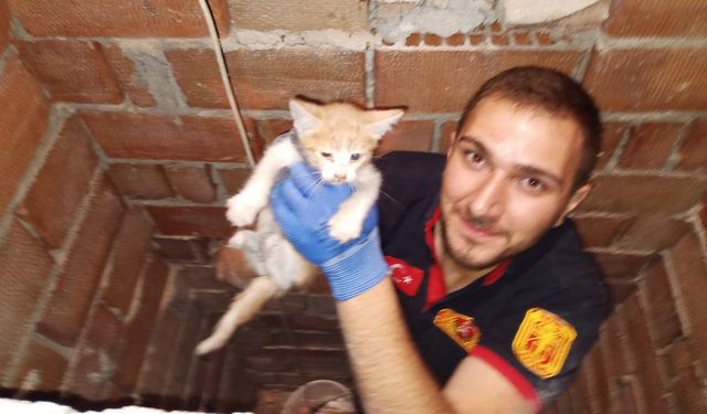Havalandırma boşluğunda mahsur kalan kedi itfaiye tarafından kurtarıldı