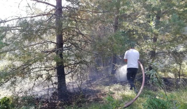 Pınarbaşı ilçesinde çıkan orman yangını söndürüldü