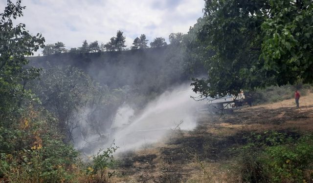 Sinop'ta çıkan orman yangını söndürüldü