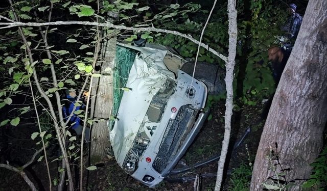Artvin'de uçuruma yuvarlanan otomobildeki 1 kişi öldü, 2 kişi yaralandı
