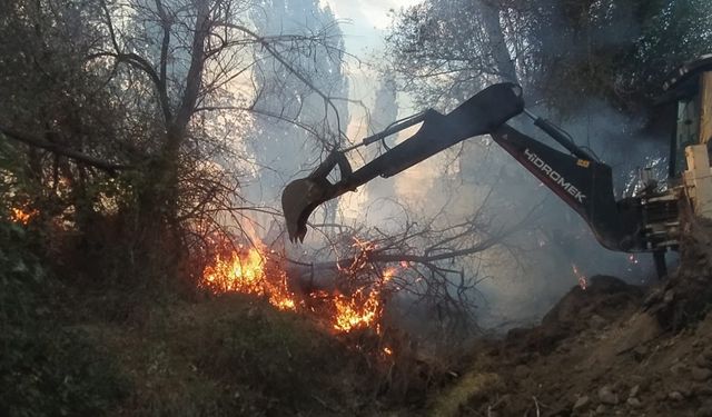 Çorum'da ağaçlık alana sıçrayan anız yangını 100 dönüm alana zarar verdi