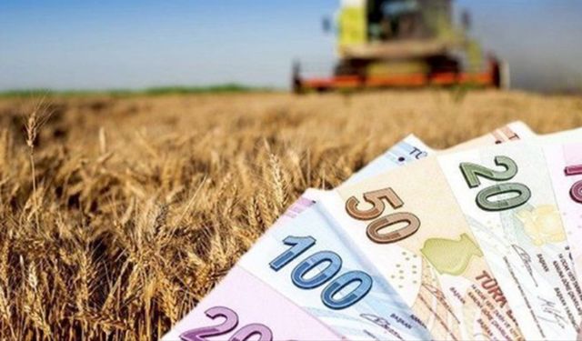 Çiftçiler dikkat: Tarımsal üretimde kredi üst limitleri değişti