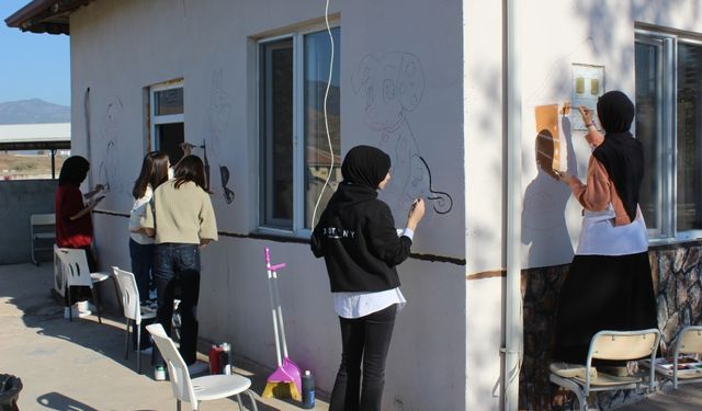 Erbaa'da öğrenciler hayvan barınağının duvarlarına resim çizdiler