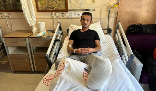 Sinop'ta ayının saldırısına uğrayan kişi ayağından yaralandı