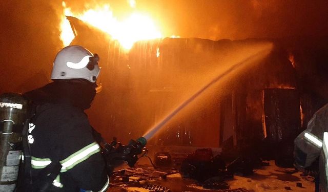 Dodurga'da yangın felaketi: Meyve bahçesi alev alev yandı!