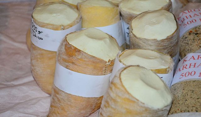 Çorum'un damak çatlatan lezzeti: Kargı Tulum Peyniri nasıl yapılır?
