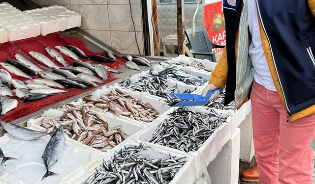 19 Mayıs'ta balıkçılık sektörü denetlendi