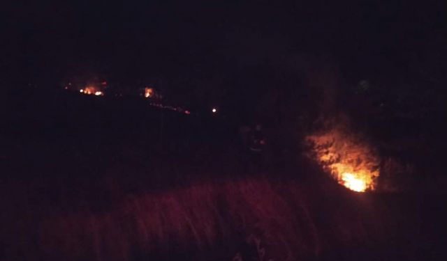 Bolu'da çıkan örtü yangını söndürüldü