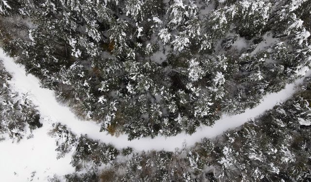 Kastamonu'da kar yağışı sonrası ormanlar dronla görüntülendi