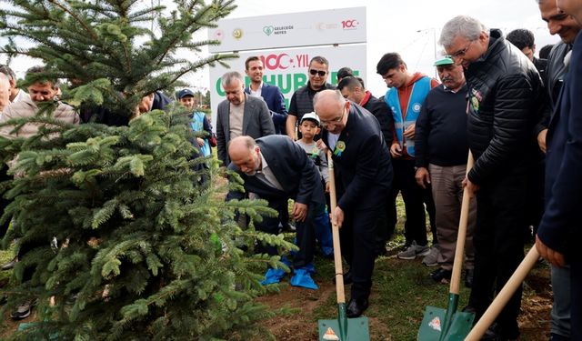 Sakarya, Karabük ve Düzce'de binlerce fidan toprakla buluştu