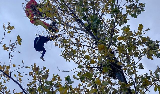Samsun'da ağaç dallarına takılan paraşütçü kurtarıldı