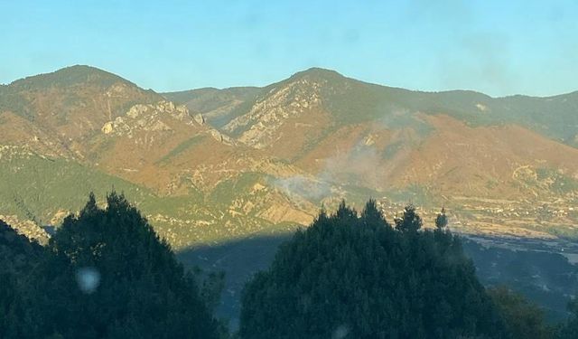 Sinop'ta yangında 1 hektar ormanlık alan zarar gördü