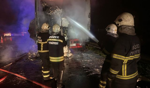 Anadolu Otoyolu'nda pamuk yüklü tırda çıkan yangın söndürüldü